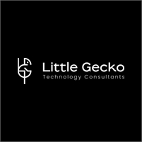 Little Gecko Technology Little Gecko Technology